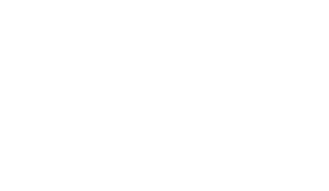 white logo no background